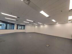 Robinson 77 (D1), Office #550255021